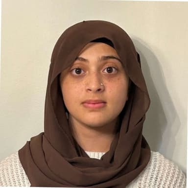 Maheen Mirza